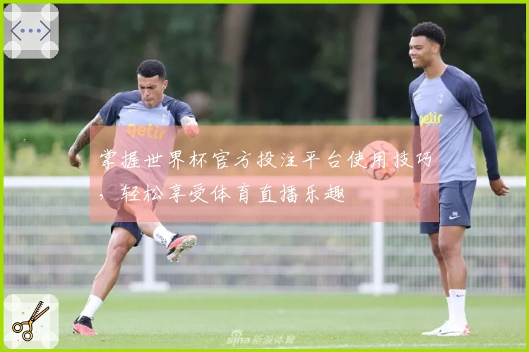 掌握世界杯官方投注平台使用技巧，轻松享受体育直播乐趣