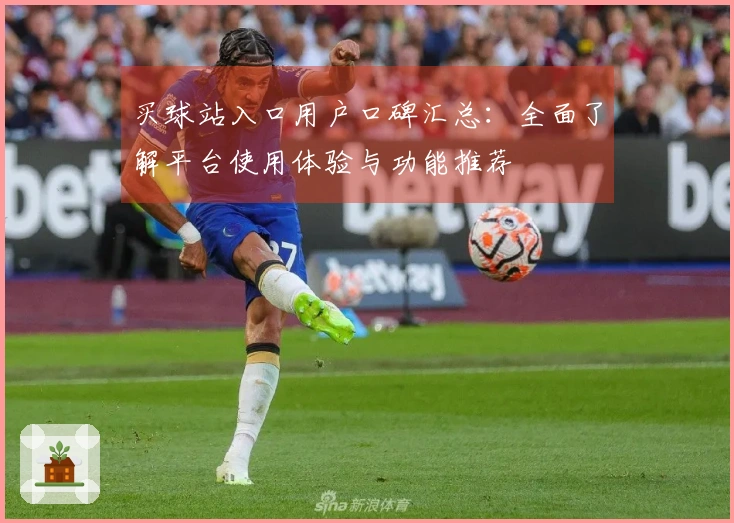 买球站入口用户口碑汇总：全面了解平台使用体验与功能推荐