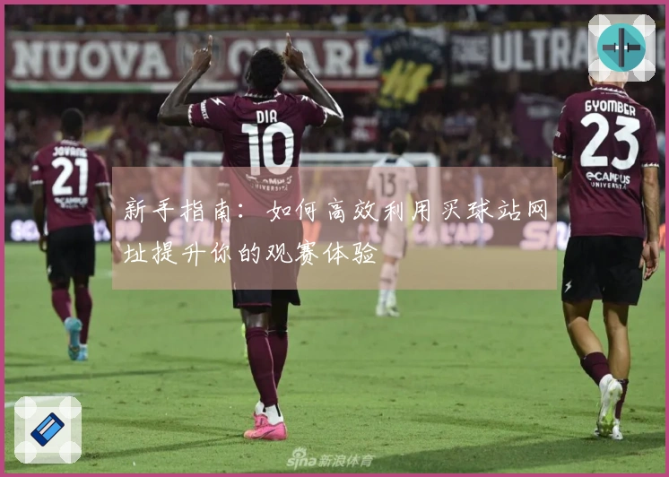 新手指南:如何高效利用买球站网址提升你的观赛体验