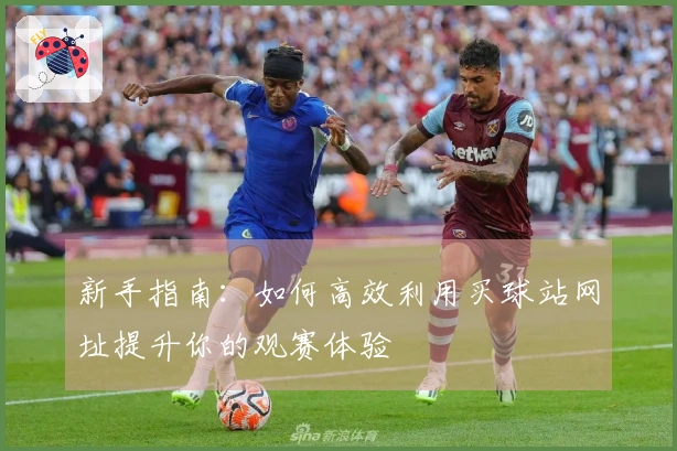 新手指南：如何高效利用买球站网址提升你的观赛体验