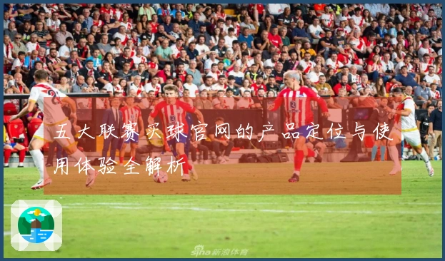 五大联赛买球官网的产品定位与使用体验全解析