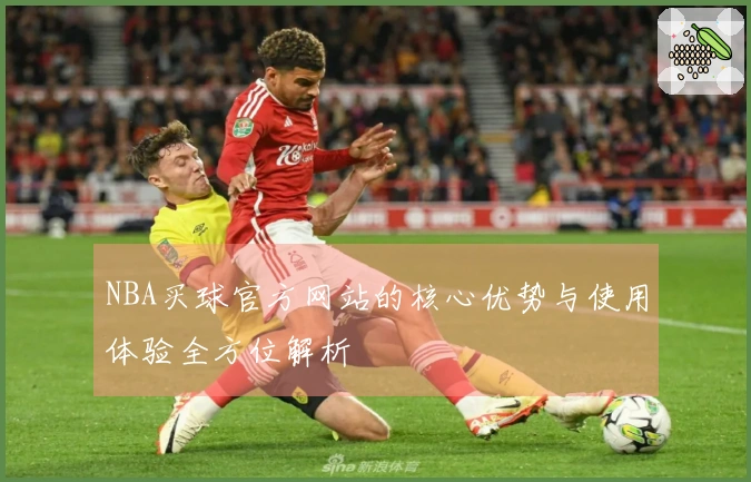 NBA买球官方网站的核心优势与使用体验全方位解析